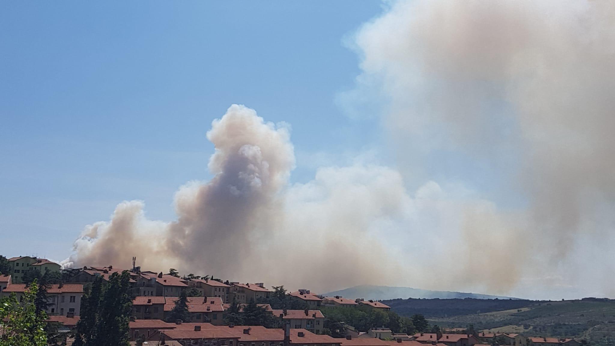 Incendio sul Carso, brucia il bosco a San Dorligo della Valle